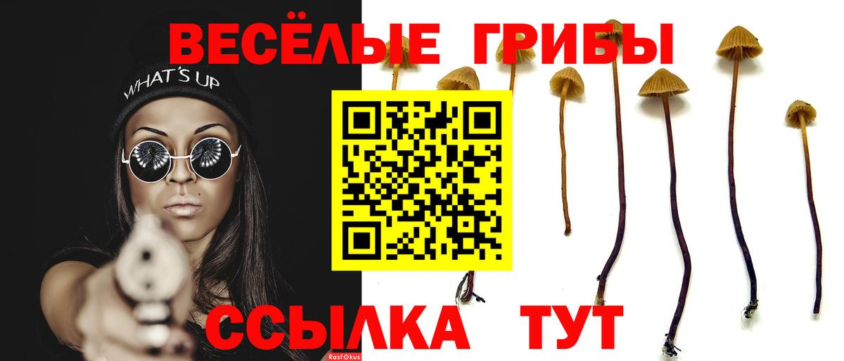 Псилоцибиновые грибы MAGIC MUSHROOMS  Вход с VPN  Сатка  Псилоцибиновые грибы Psilocybine cubensis 